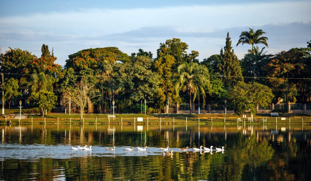 Holambra: 5 Razões Para Visitar A Capital Das Flores - InterAtiva Viagens